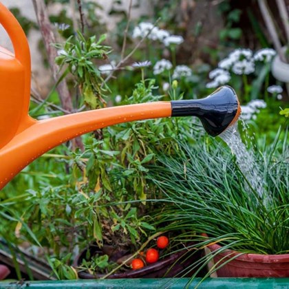 ΑΝΕΜΕΣ - ΣΕΛΕΣ - ΠΟΤΙΣΤΗΡΙΑ