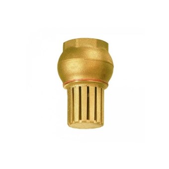 ΠΟΤΗΡΙΑ ΑΝΑΡΡΟΦΗΣΗΣ ΘΗΛΥΚΑ ΟΡΕΙΧΑΛΚΙΝΑ (ΒΑΛΒΙΔΕΣ ΒΥΘΟΥ) (06719)