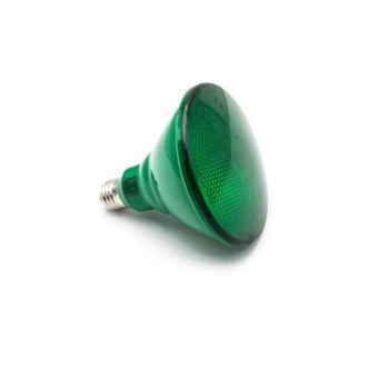 LED ΛΑΜΠΑ ADELEQ PAR38 E27 6W 230V 38° ΠΡΑΣΙΝΟ ΦΩΣ (13-38065) LED ΛΑΜΠΑ ADELEQ PAR38 E27 6W 230V 38° ΠΡΑΣΙΝΟ ΦΩΣ (13-38065)