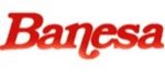 BANESA